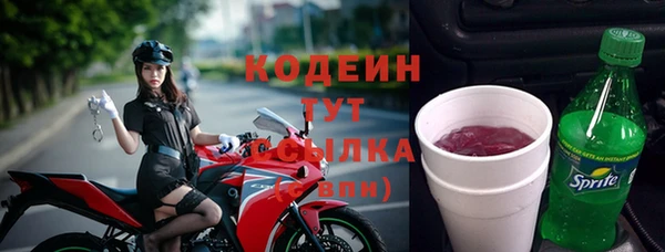 прущий лед Алзамай
