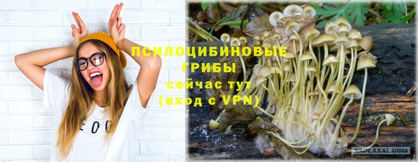 ALPHA-PVP Алексеевка