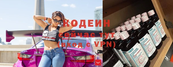 прущий лед Алзамай