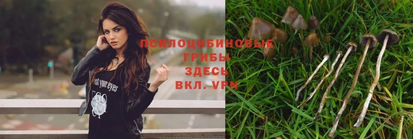 ешки Костерёво